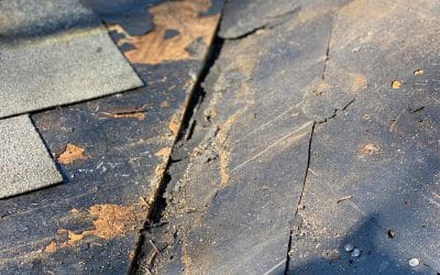 5 Common Spring Roof Problems in Atlanta