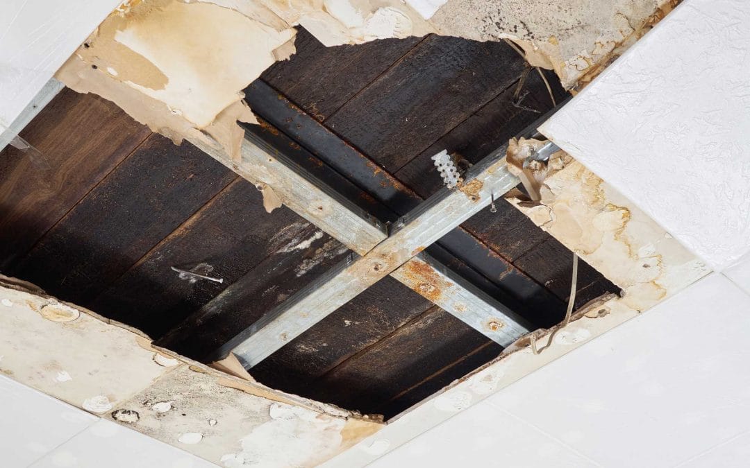 5 Tips for Preventing Roof Leaks