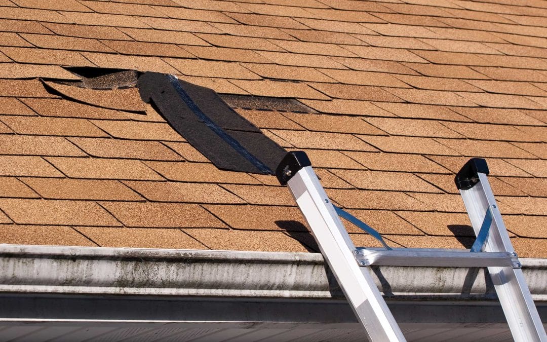 How Fast is Too Fast: What Wind Speeds Will Damage Your Roof?